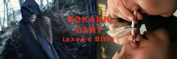 меф Дмитриев