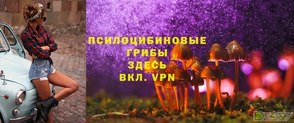 стаф Елизово