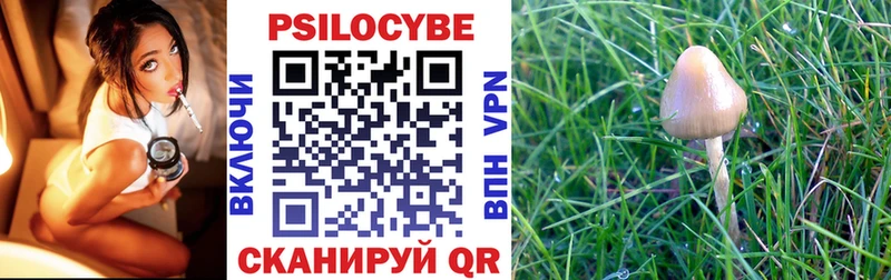 Купить  Новомичуринск  Псилоцибиновые грибы ЛСД 